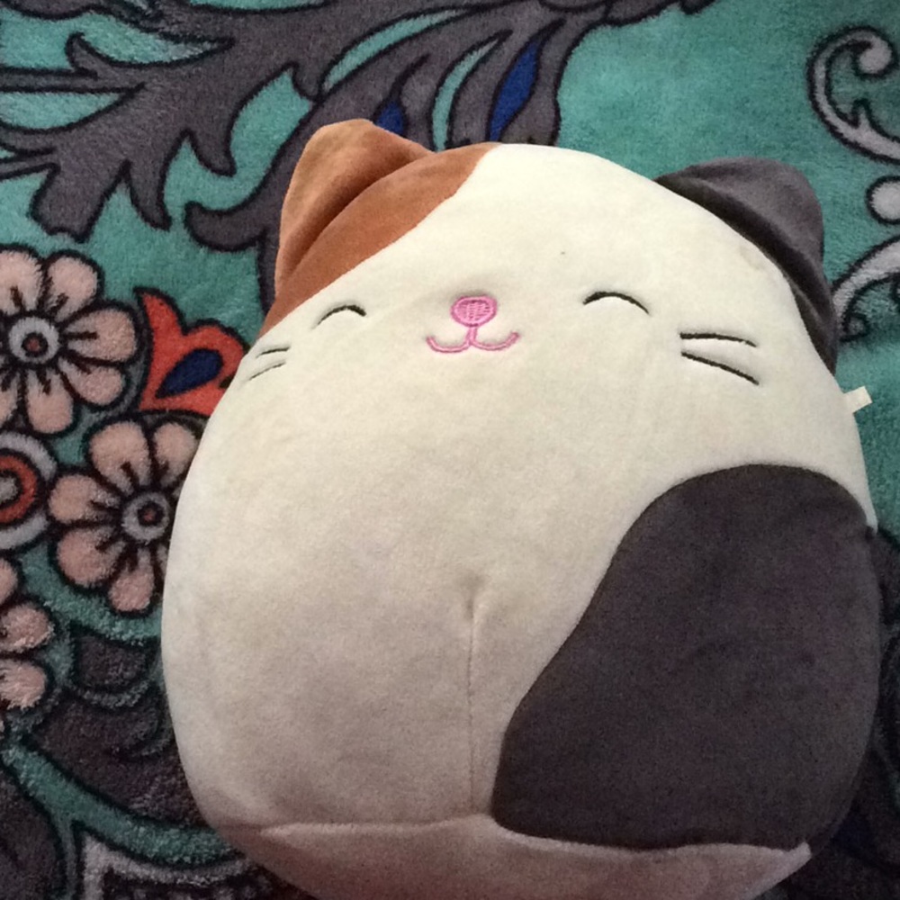 8 inch cameron the cat squishmallows NWT